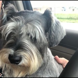 Meet your Posher, Doraliz